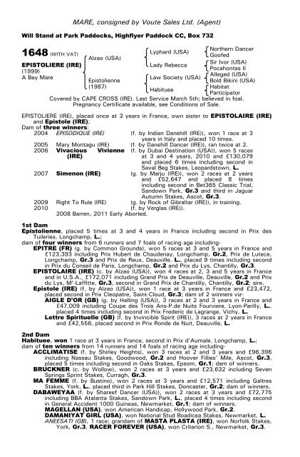 December Mare Sale - Tattersalls