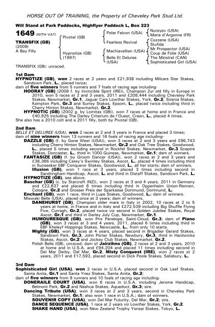 December Mare Sale - Tattersalls