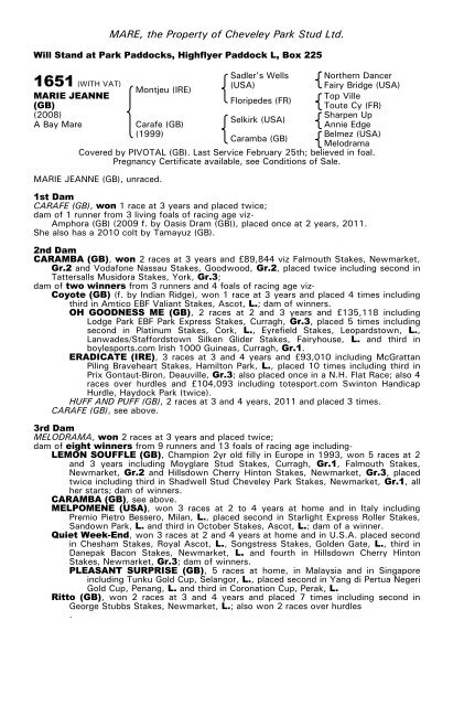 December Mare Sale - Tattersalls