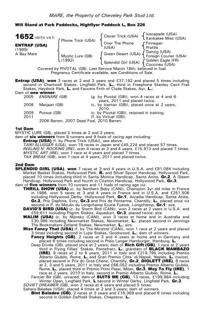 December Mare Sale - Tattersalls