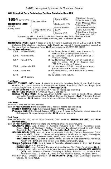 December Mare Sale - Tattersalls