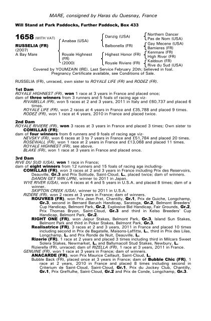 December Mare Sale - Tattersalls