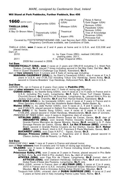 December Mare Sale - Tattersalls