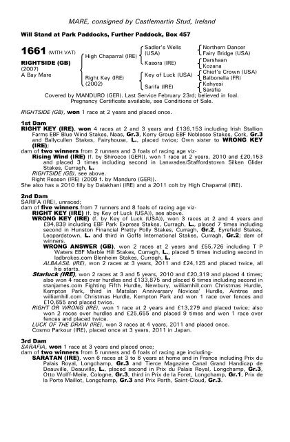 December Mare Sale - Tattersalls