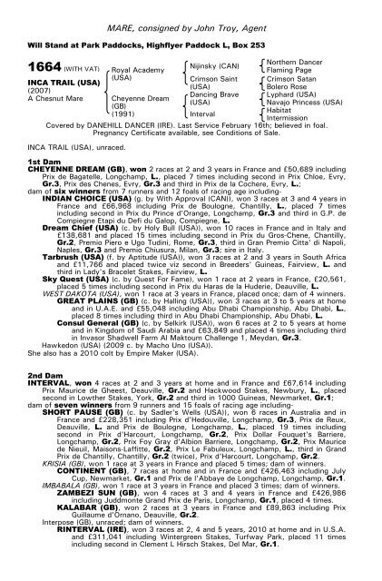 December Mare Sale - Tattersalls