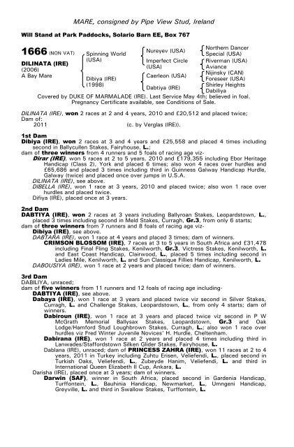 December Mare Sale - Tattersalls