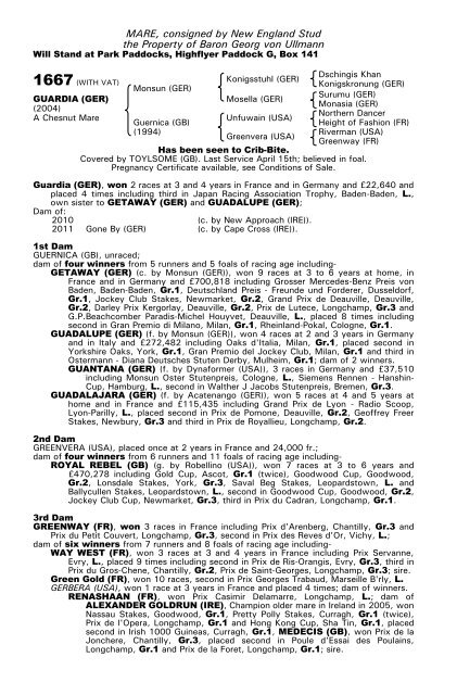 December Mare Sale - Tattersalls