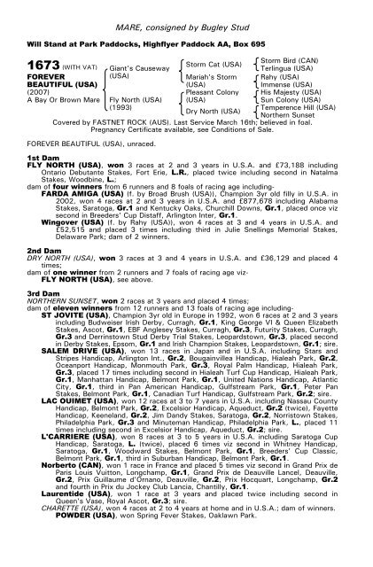 December Mare Sale - Tattersalls