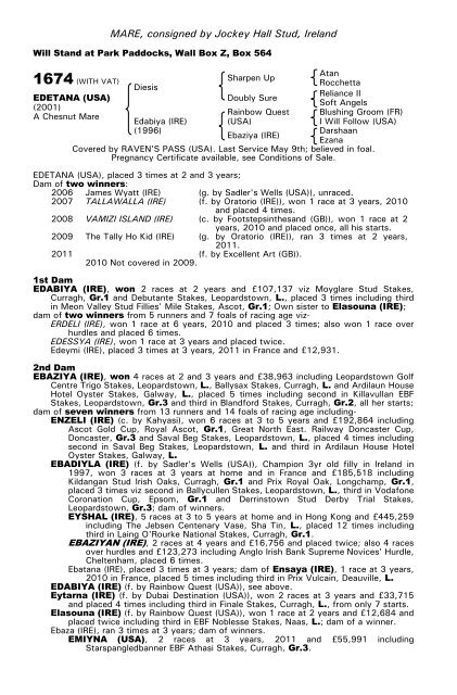 December Mare Sale - Tattersalls