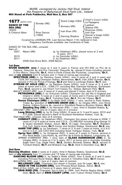 December Mare Sale - Tattersalls