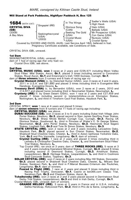 December Mare Sale - Tattersalls