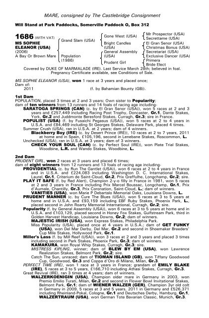 December Mare Sale - Tattersalls