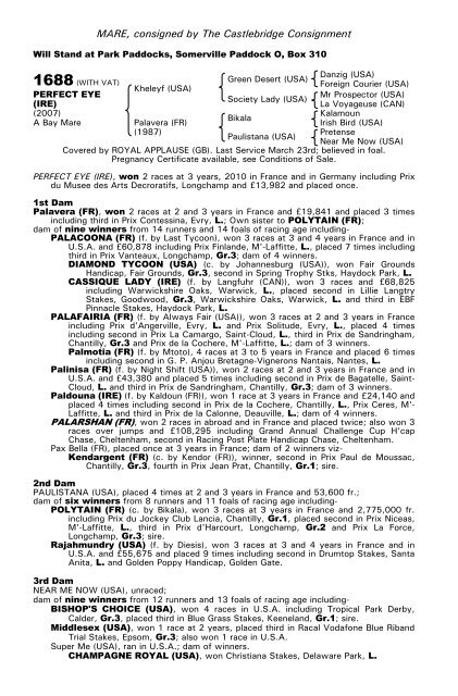 December Mare Sale - Tattersalls