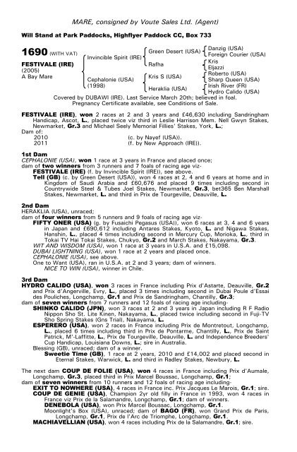 December Mare Sale - Tattersalls