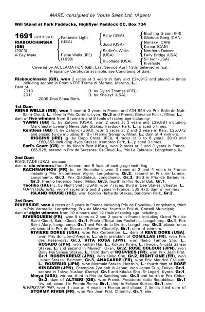 December Mare Sale - Tattersalls