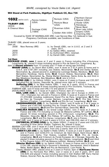 December Mare Sale - Tattersalls