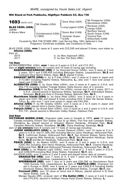 December Mare Sale - Tattersalls