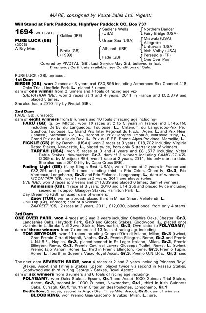 December Mare Sale - Tattersalls