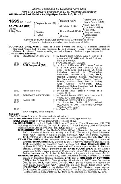 December Mare Sale - Tattersalls