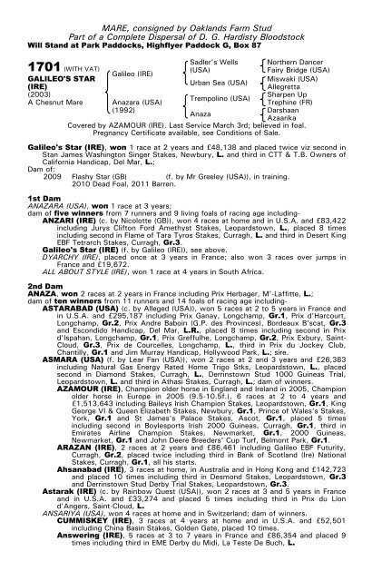 December Mare Sale - Tattersalls