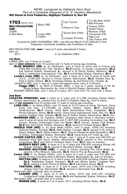 December Mare Sale - Tattersalls