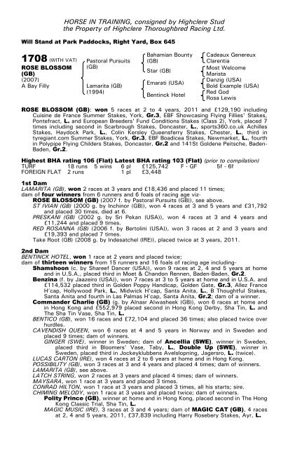 December Mare Sale - Tattersalls