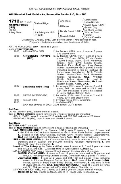 December Mare Sale - Tattersalls