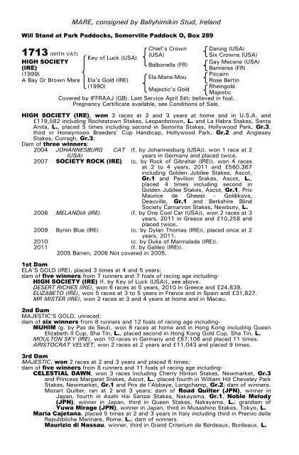 December Mare Sale - Tattersalls