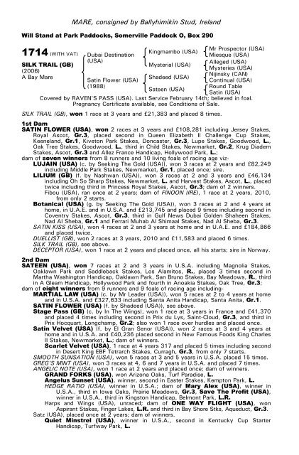 December Mare Sale - Tattersalls