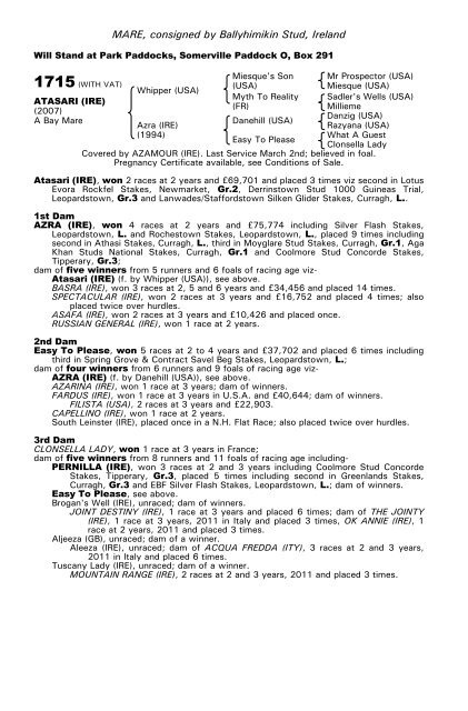 December Mare Sale - Tattersalls