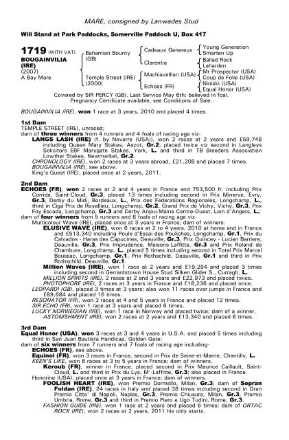 December Mare Sale - Tattersalls