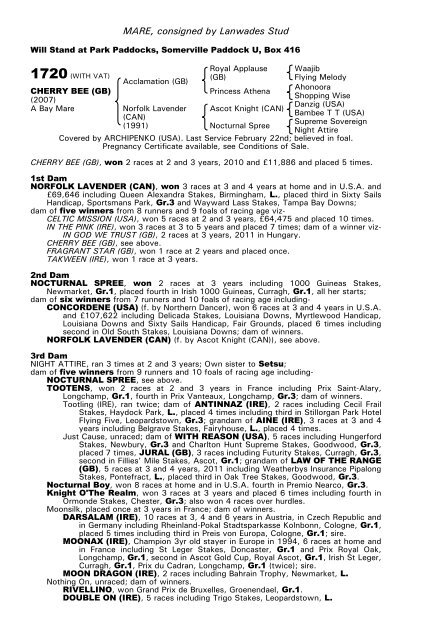 December Mare Sale - Tattersalls