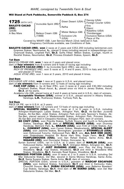 December Mare Sale - Tattersalls