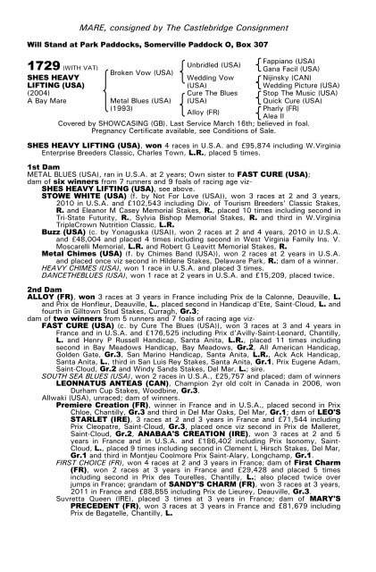 December Mare Sale - Tattersalls