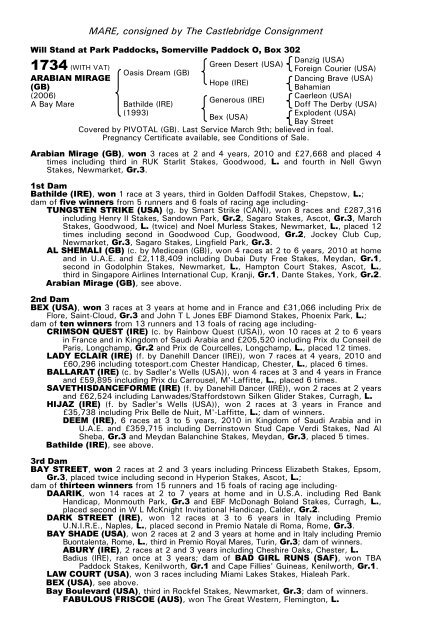 December Mare Sale - Tattersalls