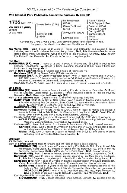 December Mare Sale - Tattersalls