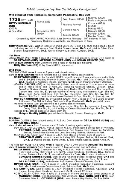 December Mare Sale - Tattersalls