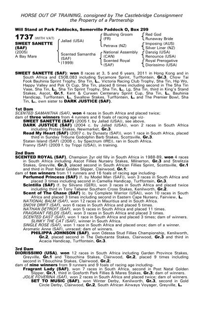 December Mare Sale - Tattersalls