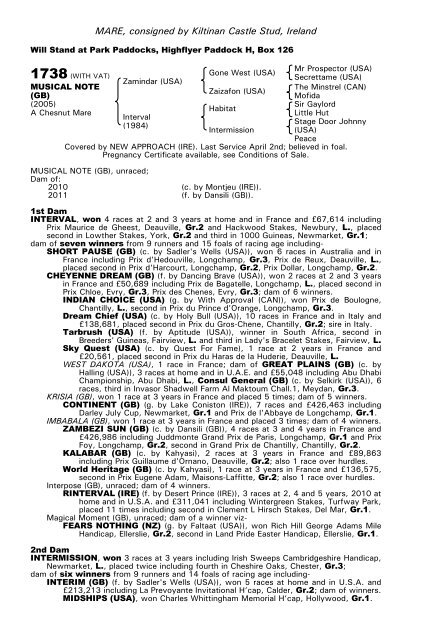 December Mare Sale - Tattersalls