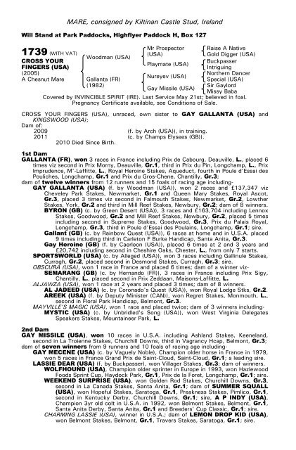 December Mare Sale - Tattersalls