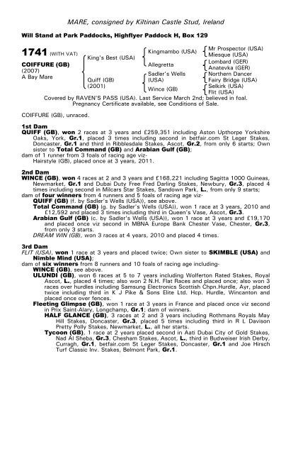 December Mare Sale - Tattersalls