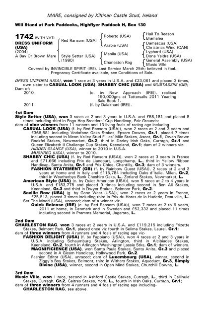 December Mare Sale - Tattersalls