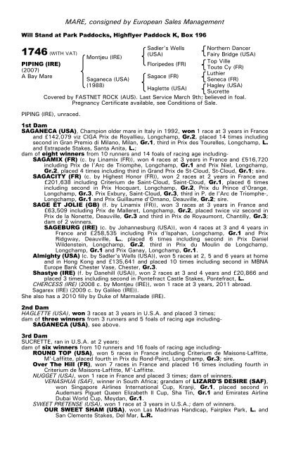 December Mare Sale - Tattersalls