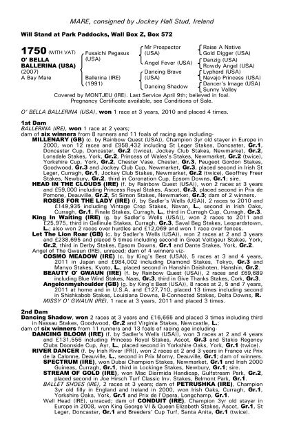 December Mare Sale - Tattersalls