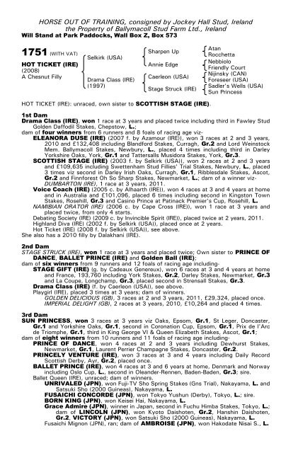 December Mare Sale - Tattersalls