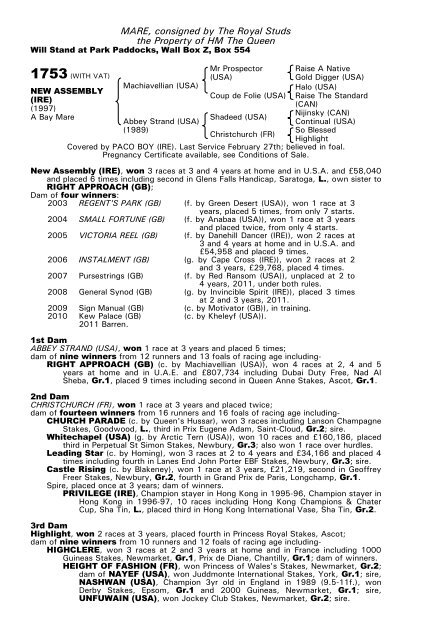 December Mare Sale - Tattersalls