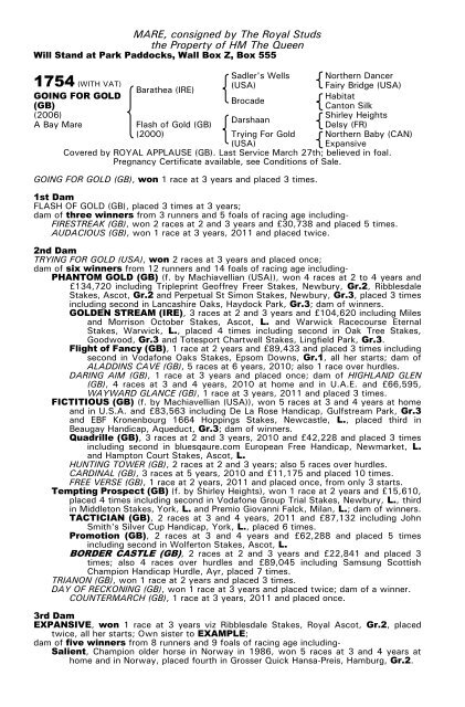 December Mare Sale - Tattersalls