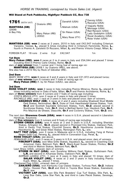 December Mare Sale - Tattersalls