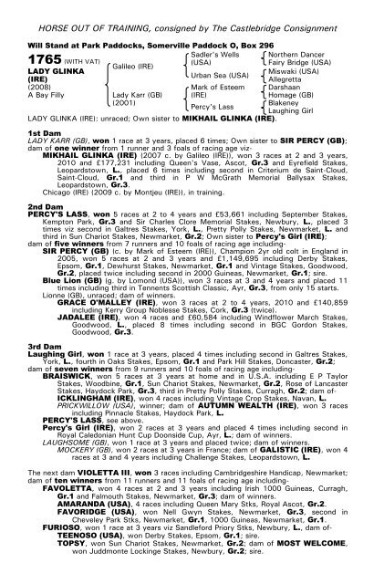 December Mare Sale - Tattersalls