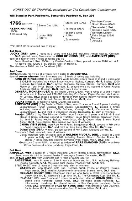 December Mare Sale - Tattersalls